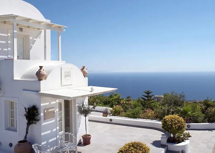 Guest house Meli Meli 4*